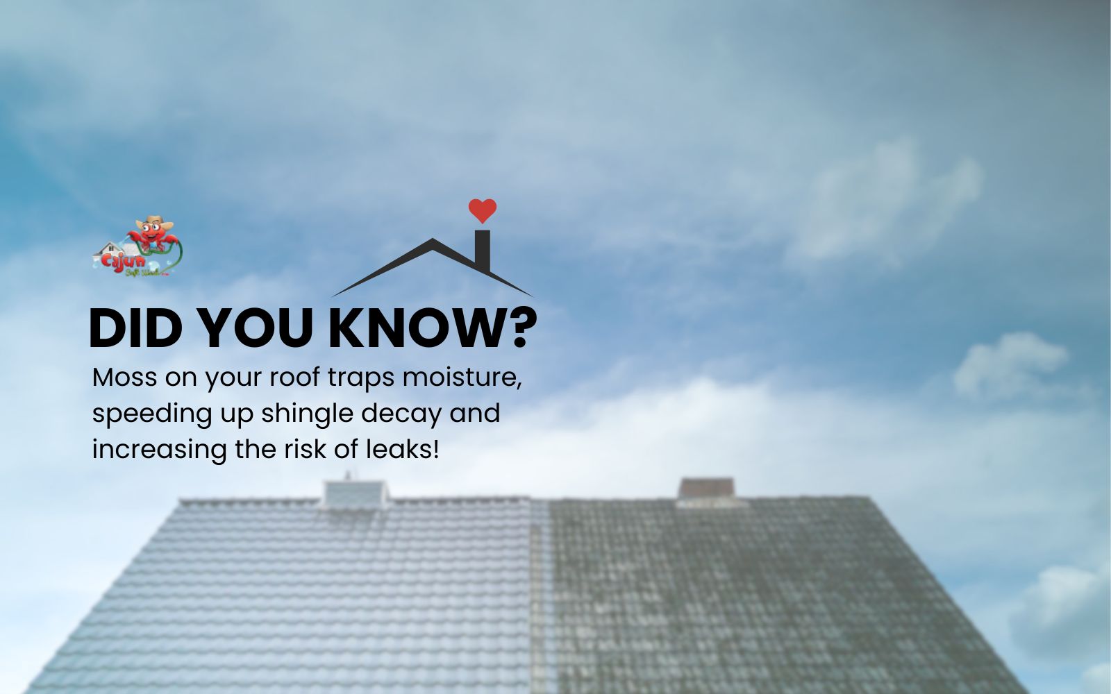 Did You Know? Graphic about roofs, with a picture of a roof partially covered in moss, and text noting that moss speeds up shingle decay.